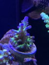 4F6FA8E1-541C-4E51-B785-6388F075F7D7.jpeg