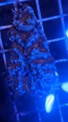 PXL_20210321_200611069.jpg