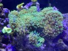 C7B7665E-63C6-453C-9AC2-2DE9D645BD00.jpeg