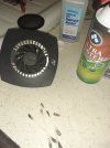 20210403_094729.jpg