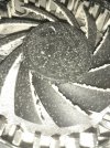 20210403_135730.jpg