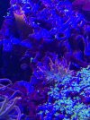 A4453CB1-C7E3-43CC-80E8-42274C3F2B48.jpeg