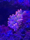 D566522E-CD4B-4680-AF79-2E0DAE7FA27E.jpeg