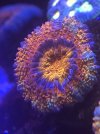5607B15B-ED41-4FD6-B4F4-E4114A039912.jpeg