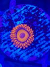 20210417_180244.jpg