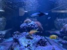 20210427_204250209_iOS.jpg