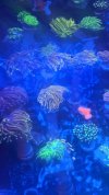 PXL_20210429_200911448.jpg
