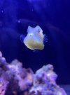 E5938184-03F7-4816-8D6A-231BD57210AB.jpeg