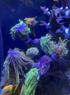 18725117-35CE-418E-B2A8-83A13AA870F2.jpeg