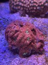 BEE4D6D2-3476-470F-BA30-AEF12EDA8534.jpeg