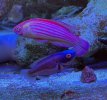 D54E9248-2502-4B92-B01E-31D728644707.jpeg
