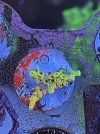 013173D5-15A3-4D7A-86A8-57AF3E3E4C16.jpeg