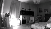 2CAA8EBF2669_1624065246358.png