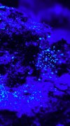6CF10222-676B-4B94-AB5B-E8228037D023.jpeg