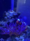 364EB0FD-0D1E-475E-A03F-2CE6F081F635.jpeg