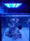 20201106_180738.jpg