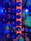 0CABD434-E4B5-402A-AE8A-2DBF0E653817.jpeg