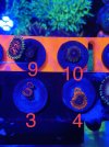 4305CC08-E3AB-44EF-866B-4006DE945DE2.jpeg