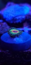 20210812_201829.jpg