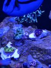 6210B6FE-3D06-4B45-8F09-510B25CE3C27.jpeg