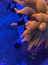 CC7611AD-ECDC-4793-A6B8-3DF3BEDBAF96.jpeg