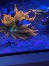 8801BE9D-9EBC-48BC-8B90-BA01D7E94817.jpeg