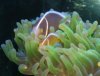 DSC02040.JPG