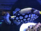 IMG_7184.jpg