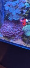 IMG_20210915_181448.jpg