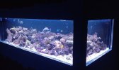 19685-3-8---long-4---rgbHQ7.jpg