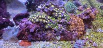 20210821_144526.jpg