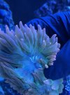 0591B43E-F044-4DDB-9830-79A86C553618.jpeg