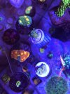 8435E2D2-71AE-44D5-A60A-3F06A334FD9B.jpeg