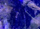 DDC8DD6C-0AFF-49C4-A071-74B4AB8F2E31.jpeg