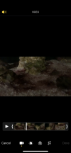 22E5A087-54F3-432F-AAA6-5B340423F672.png