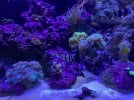 64676913176__51671C24-7AE3-4AA1-BA5F-CD0210227D5E.jpeg