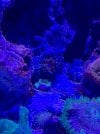 64730566285__E7772B03-C3BC-4F98-A259-8392D495F15D.jpeg