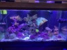 IMG_2038.jpeg