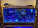 IMG_2213.jpeg