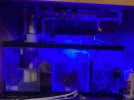 IMG_2214.jpeg