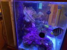 IMG_2215.jpeg