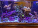 IMG_2220.jpeg