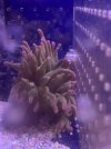 9957D6AD-8AA7-4D46-BC4E-6191FC157357.jpeg