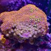 IMG_5663.jpeg