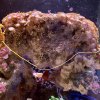 IMG_5664.jpeg