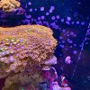 IMG_5666.jpeg