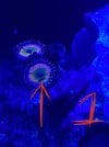 E0B906AB-27B7-4A46-84E1-AE185607BF59.jpeg