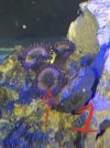 1608737D-8947-46B0-885A-92E72B91BEC4.jpeg