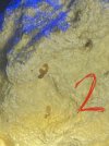 253076DF-33E1-44E9-8F3A-93F3B475518E.jpeg