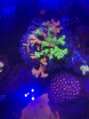 4DFFA4BD-1407-4F3B-8D6C-04174E506CC8.jpeg